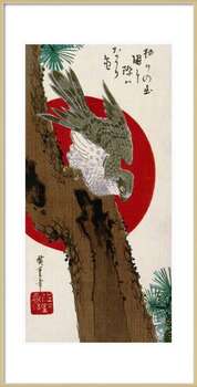 Poster The Hawk & The Red Sun
