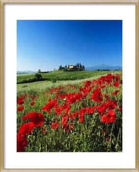 Poster Italy, Tuscany, Val d'Orcia, farmhouse on