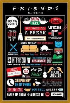 Poster incorniciato FRIENDS - infographic